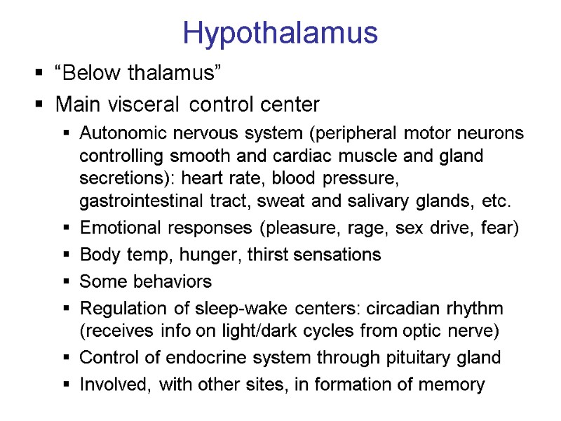 Hypothalamus “Below thalamus” Main visceral control center Autonomic nervous system (peripheral motor neurons controlling